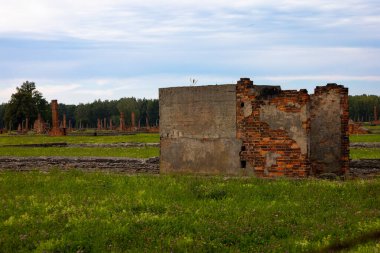 Polonya 'daki Auschwitz-Birkenau Nazi toplama kampı müzesi. Auschwitz Oswiecim II. Dünya Savaşı ve Yahudi Soykırımı sırasında işgal altındaki Polonya 'daki Yahudi hapishanesi