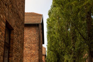 Oswiecim, Polonya - 3 Ağustos 2024: Auschwitz-Birkenau Nazi toplama kampı müzesi Polonya. Auschwitz Oswiecim II. Dünya Savaşı ve Yahudi Soykırımı sırasında işgal altındaki Polonya 'daki Yahudi hapishanesi