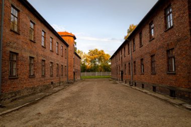 Oswiecim, Polonya - 3 Ağustos 2024: Auschwitz-Birkenau Nazi toplama kampı müzesi Polonya. Auschwitz Oswiecim II. Dünya Savaşı ve Yahudi Soykırımı sırasında işgal altındaki Polonya 'daki Yahudi hapishanesi