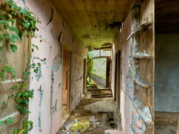 stock image Weathered and Overgrown Abandoned House