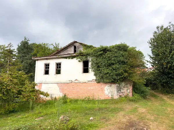 Terk Edilmiş Ev Bitkilerle Kaplanmış