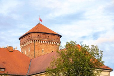 Ortaçağ Wawel Kalesi, Krakow, Polonya