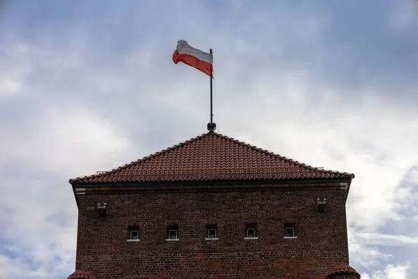 Ortaçağ Wawel Kalesi, Krakow, Polonya