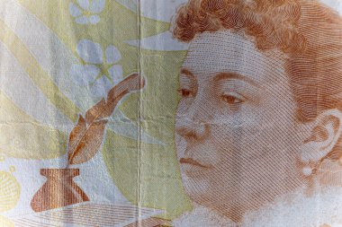 Bir Türk 50 Lira Banknotunun Yakın Çekim Detayları