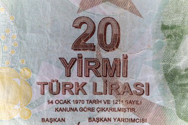 Türk 20 Lira Banknotunun Yakın Çekim Detayları