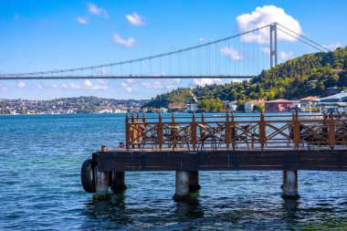 Çürümüş Tahta Kütük Kuru Toprak Doğal Çürüme Konsepti