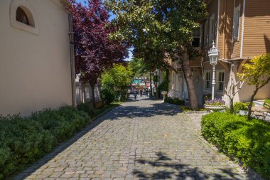 Ağaçları yemyeşil ve eski binaları olan güneşli kaldırım taşı caddesi.