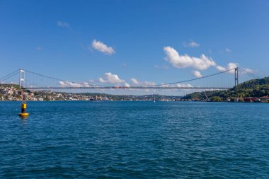 Çürümüş Tahta Kütük Kuru Toprak Doğal Çürüme Konsepti