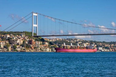 Çürümüş Tahta Kütük Kuru Toprak Doğal Çürüme Konsepti