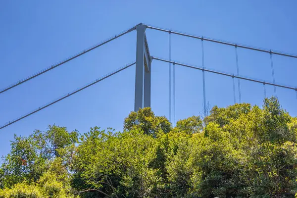 Yeşil Tepeler üzerindeki Fatih Sultan Mehmet Köprüsü Çelik Kulesi