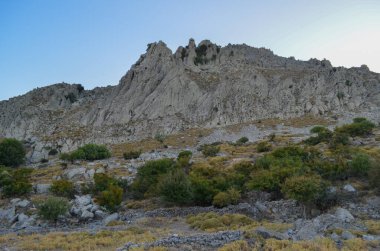 Keskin Rocky Dağı Sırtı ve Çöl Bitkisi