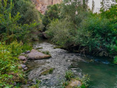 Akan Nehir Yoğun Yeşil Sebze ve Rocky Uçurumlarıyla çevrili