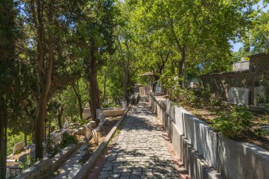 Mezarlıkta Ağaç ve mezar taşları olan kaldırım taşı yolu.