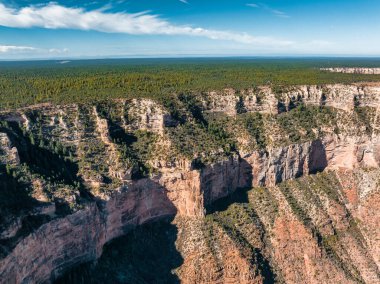 Büyük Kanyon Ulusal Parkı 'nın hava manzarası, Kuzey Rim, Califronia, ABD