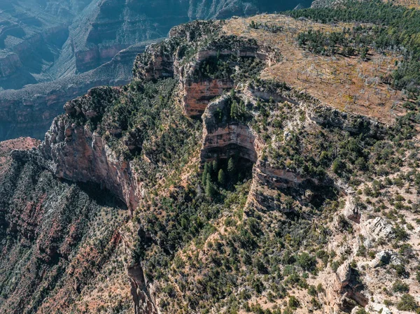 Flygfoto Över Grand Canyon National Park North Rim Kalifronia Usa — Stockfoto