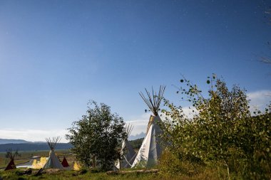 Güneşli bir günde ağaçların arasındaki çadır manzarası. Arka planda mavi gökyüzü olan beyaz kumaş çadırları. Ünlü Yellowstone Ulusal Parkı 'nda kamp macerası..