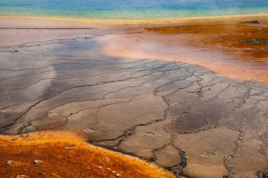 Grand Prismatic Spring 'deki güzel jeotermal manzara. Midway Gayzer Havzası 'ndan çıkan buhar manzarası. Yaz boyunca Yellowstone Ulusal Parkı 'nda ünlü turistik ilgi odağı.
