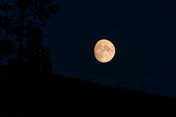 View of beautiful moon shining over silhouette landscape. Picturesque scenery at famous Yellowstone National park in night. Concept of idyllic nature and astronomy.