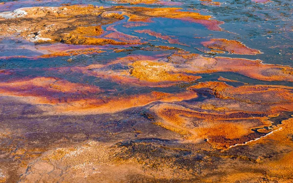 stock image Textured surface of geothermal landscape in geyser basin. Beautiful view of hotspring at Yellowstone National park. Famous sightseeing attraction during summer.