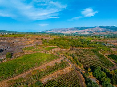 Sicilya üzüm bağları. Sicilya, İtalya 'da arka planda Etna volkanı patlaması. Kırsal Sicilya manzarası