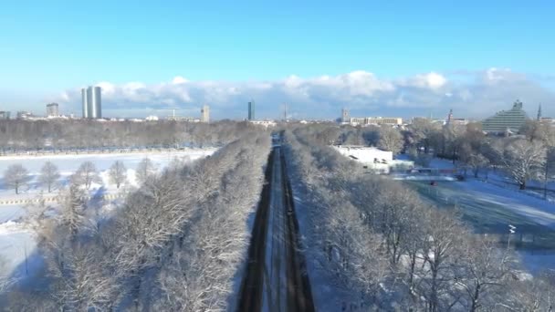 Karla Kaplı Ağaçların Batan Güneşin Sıcacık Parıltısıyla Aydınlanan Donmuş Toprakların — Stok video