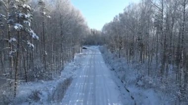 Karlı bir orman. Karlı orman yolu. Yukarıdan orman yolu. Kış ormanlarının hava manzarası Karlı ağaç dalları kış ormanlarının manzarası