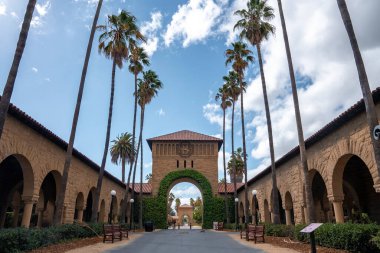 Palmiye ağaçları ve bitkilerin arasında boş bir yol. Arkasında gökyüzü olan Stanford Üniversitesi kampüsünde sarmaşık ve saatli kemerli bir yapıya doğru gidiyor.