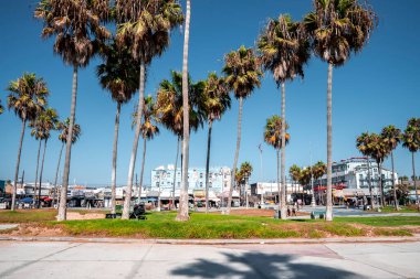 Los Angeles, ABD. 20 Eylül 2022. Venedik sahilinde çimlerin üzerinde yetişen palmiye ağaçlarının manzarası. Eski binalar ve güneşli bir günde arka planda açık mavi gökyüzü.