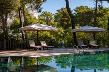 Güneşli bir günde havuz başında düzenlenmiş bereketli ağaçlarla çevrili boş şezlonglar.