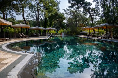 Boş güverte sandalyeleri ve şemsiyeler güneşli bir günde havuz başında düzenlenmiş yemyeşil ağaçlarla çevrili.