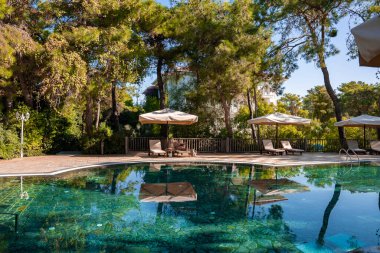 Güneşli bir günde, havuz başında güneşli bir tatil köyünde, yemyeşil ağaçlarla çevrili şezlonglar.