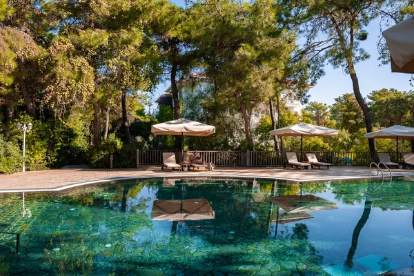 Güneşli bir günde, havuz başında güneşli bir tatil köyünde, yemyeşil ağaçlarla çevrili şezlonglar.