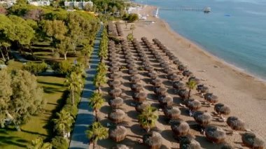 Lüks tropik otel tatil köyü. Açık hava turizmi. Yüzme havuzu, plaj sandalyeleri ve palmiye ağaçları olan lüks bir tatil köyü. Yaz adası seyahati ve cennet tatili