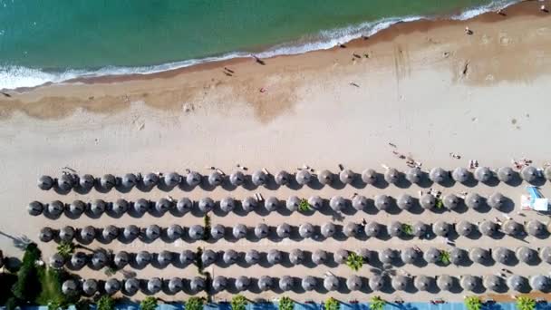 Αεροφωτογραφία Ομπρέλες Φοίνικες Στην Αμμώδη Παραλία Άνθρωποι Γαλάζια Θάλασσα Κύματα — Αρχείο Βίντεο