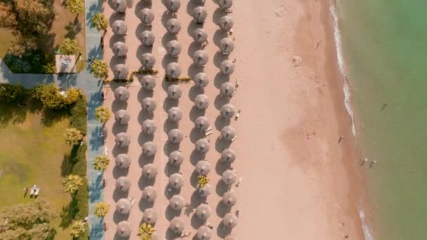 Şemsiyelerin Havadan Görünüşü Kumlu Sahilde Palmiyeler Insanlar Gün Batımında Dalgalı — Stok video