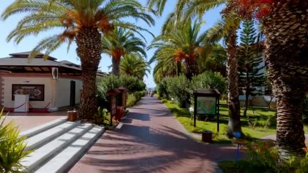 Luksusowy Tropikalny Hotel Turystyczny Krajobraz Luksusowy Kurort Plażowy Basenem Krzesłami — Wideo stockowe