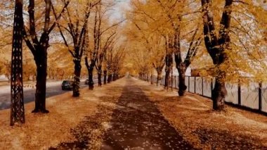 4K mevsimi, sonbahar ormanlarının turuncu renklerinden günışığına, beyaz kış harikalar diyarına dönüşür.. 