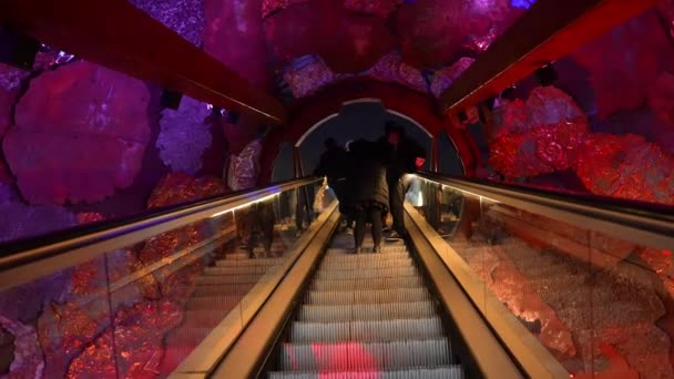 自然历史博物馆 通往伦敦博物馆入口附近上层的自动扶梯 — 图库视频影像