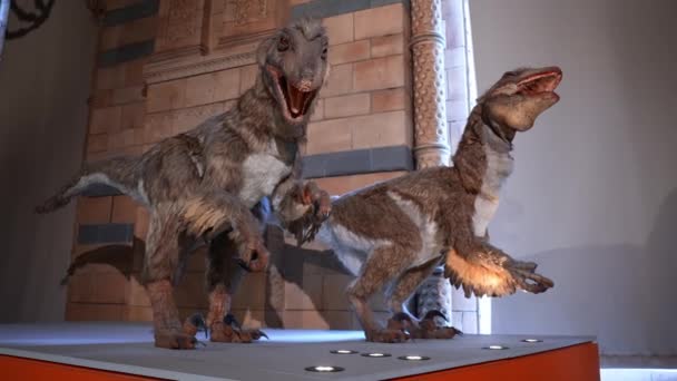 Natuurhistorisch Museum Londen Dinosaurussen Zoals Tyrannosaurus Rex Verplaatsen Londen — Stockvideo