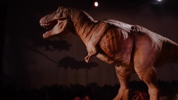 ロンドンの自然史博物館 恐竜をロンドンで本物の大きさのティラノサウルスのレックスのように動かす — ストック動画