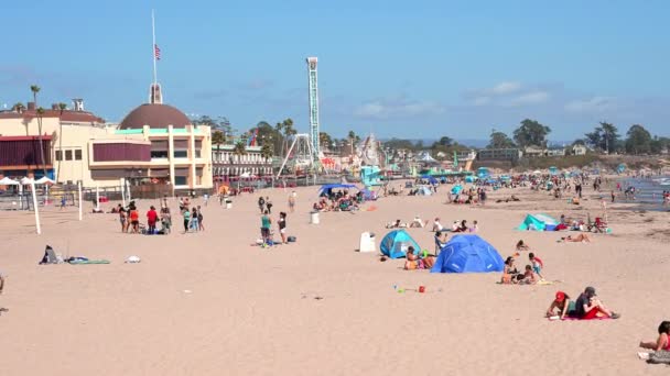 Beautiful Santa Cruz Beach Surrounded Palm Trees Buildings Sunny Day — Wideo stockowe