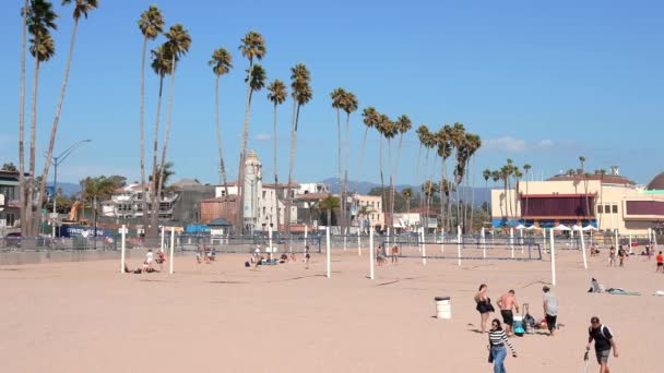 Beautiful Santa Cruz Beach Surrounded Palm Trees Buildings Sunny Day — Stok video