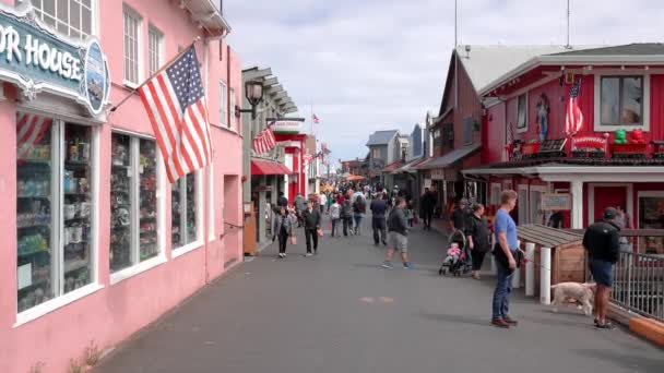 Harbour Broadway Monterey People Walking Standing Powerbridge Leading Market Рынок — стоковое видео