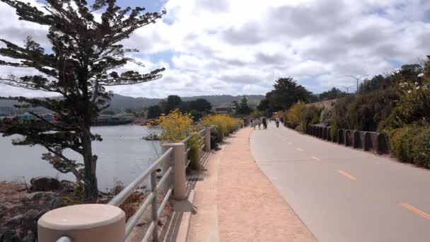 Beautiful Seaside Walk Monterey Usa Nature California Usa — Wideo stockowe