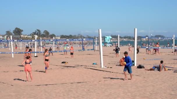 People Playing Volleyball Sandy Beach Santa Cruz Municipal Wharf Background — Wideo stockowe