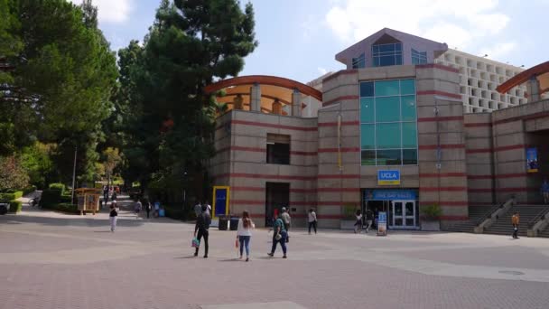 View Bronze Bruin Sculpture Ucla Campus Building Students Walking Sunny — Stock Video