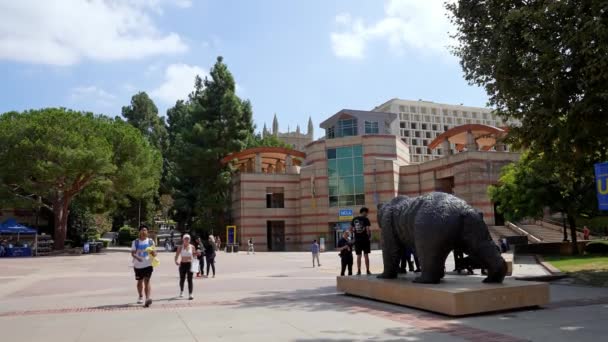 View Bronze Bruin Sculpture Ucla Campus Building Students Walking Sunny — Wideo stockowe