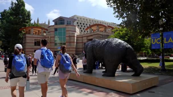 Вид Бронзову Скульптуру Бруйна Кампусі Каліфорнійського Університету Будівлями Студентами Які — стокове відео