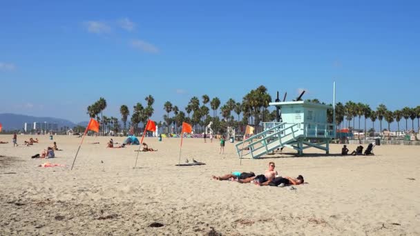 海岸では波が吹き カリフォルニアでは砂浜を楽しんでいます 太平洋によって成長するヤシの木 ビーチでロサンゼルスの晴れた日 — ストック動画