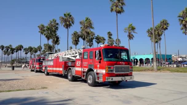 Red Fire Rescue Vehicles Parked Road Venice Beach Palm Trees — 图库视频影像